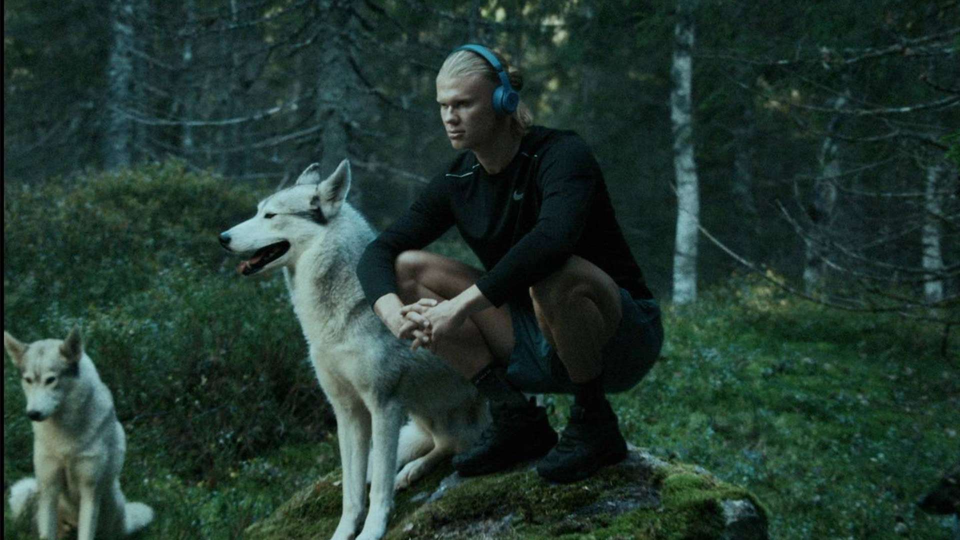 无疑是他职 无疑是他职